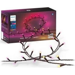 Philips Hue Bluetooth LED Lichterkette Festavia White & Color Ambiance In Schwarz 14W IP54 2000mm